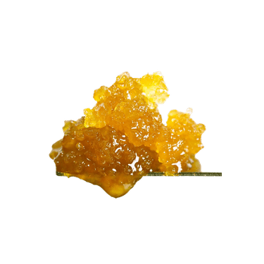concentratesicon