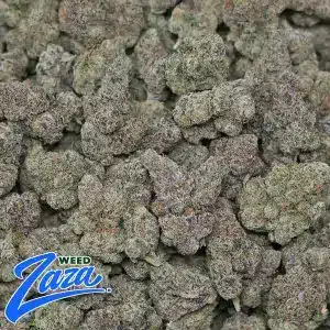 Blue Nerdz Strain - 2