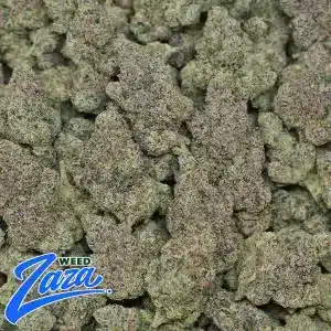 Bolo Runtz Strain - 2