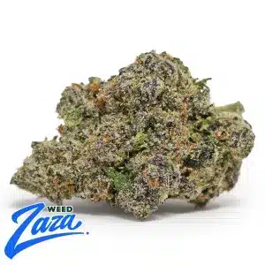 Bolo Runtz Strain - 1