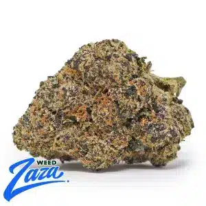 Bubblegum Gelato Strain - 1
