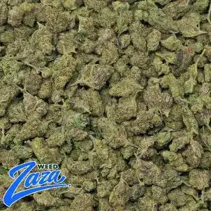 Cherry Diesel 'Smalls' Strain - 2
