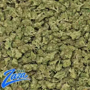 Gelato Cake 'Smalls' Strain - 2