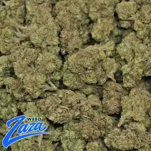 Lemon Cherry Gelato Strain - 2