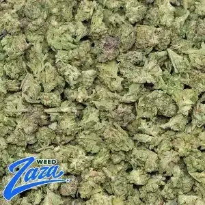 Pink Guava 'Smalls' Strain - 2