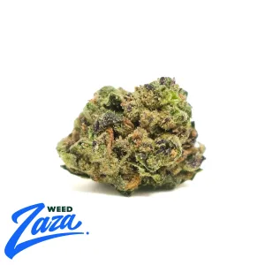 Pink Guava 'Smalls' Strain - 1