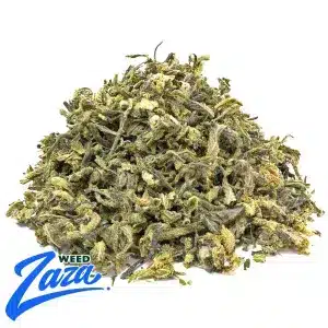 House Blend Strain - 1