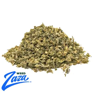 House Shake Strain - 1