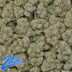 True OG Strain - 2