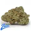 True OG Strain - 1