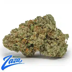 True OG Strain - 1