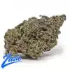 Zoap Strain - 1