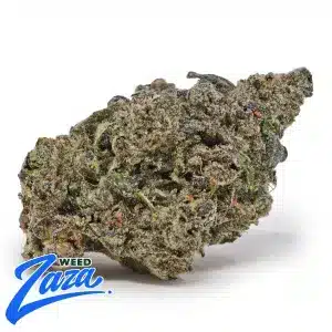 Zoap Strain - 1