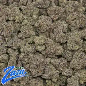 Bubblegum Gushers Strain - 2