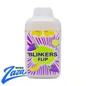 Blinkers Flip Dual Chamber Disposable (2g) - Tropical Grape X Melon Burst - 2