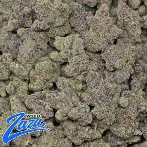 Galactic Warhead Strain - 2