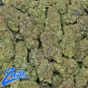Blue Cookies Strain - 2