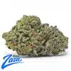 Blue Cookies Strain - 1