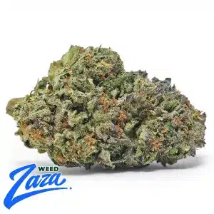 Blue Cookies Strain - 1