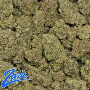 Blue Starburst Strain - 2