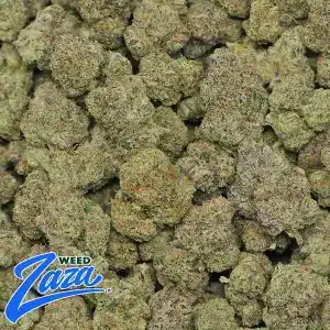 Candy Gas Strain - 2