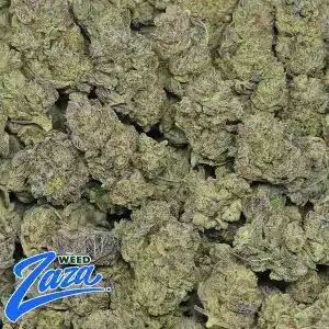 Cookies n Cream Strain - 2