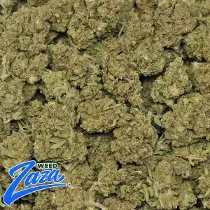 Creme Brulee Strain - 2