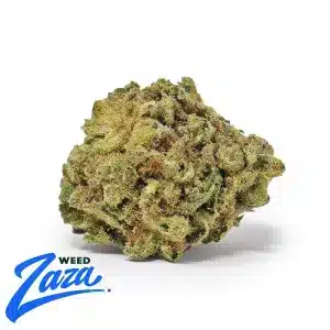Creme Brulee 'Smalls' Strain - 1