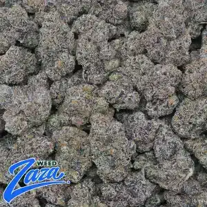 Exotic Blue Nerdz Strain - 2