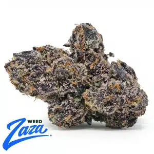 Exotic Blue Nerdz Strain - 1