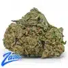 Fire OG Strain - 1