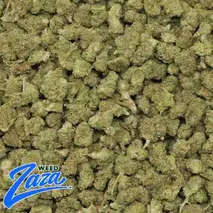 Garlic Banana 'Smalls' Strain - 2