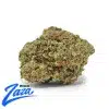 Garlic Banana 'Smalls' Strain - 1