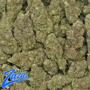 Gas Berry Strain - 1