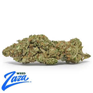 Gas Berry Strain - 1