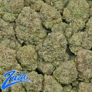 Gelato King Strain - 2