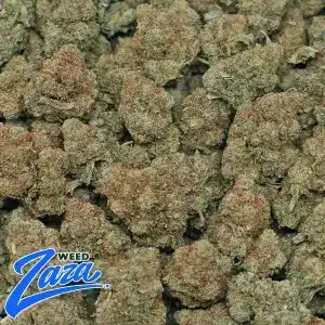Kong Kush Strain - 2