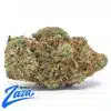 Kong Kush Strain - 1