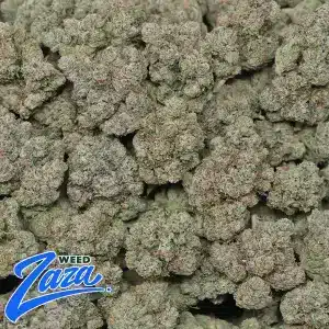 Legend OG Strain - 2