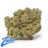 Legend OG Strain - 1