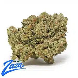 Legend OG Strain - 1