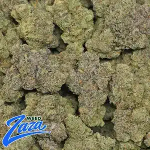 Lemonhead Strain - 2