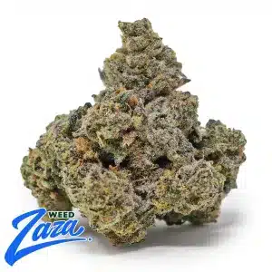 Lemonhead Strain - 1