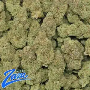 Lemon Squeeze Strain - 2
