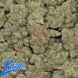 L'orange Strain - 2