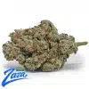 L'orange Strain - 1