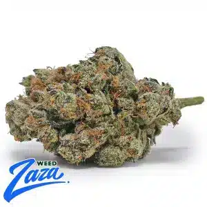 L'orange Strain - 1