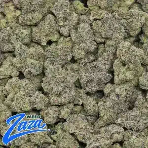 Mother of Berries Strain - 2