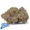 Mochilatto Strain - 1