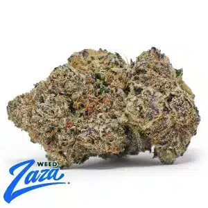 Mochilatto Strain - 1